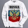 Толстовка Свитшот Флаг России