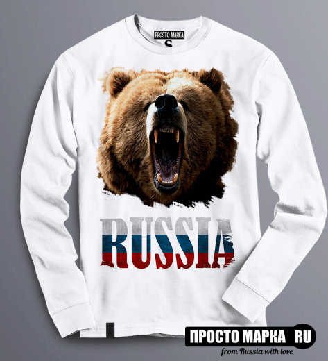 Толстовка Свитшот медведь Russia триколор