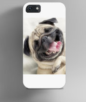 Чехол на iPhone прикольная собака